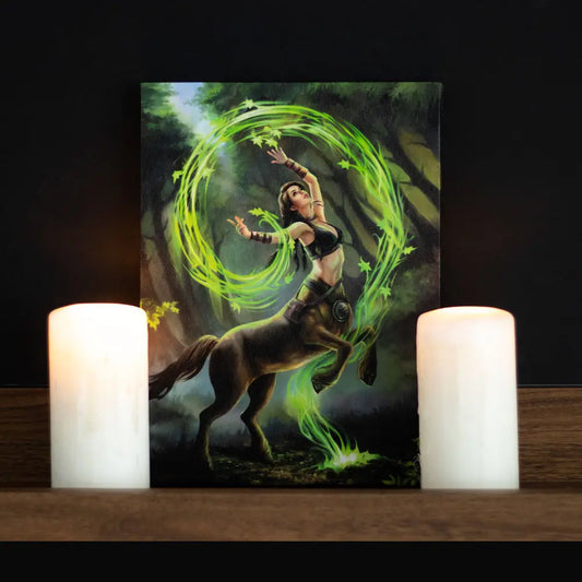 Earth Element Sorceress - Anne Stokes Canvas