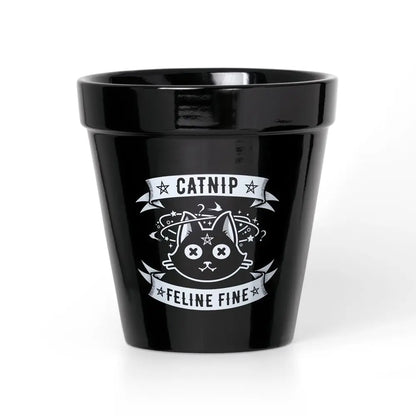Alchemy - Catnip - Plantenpot