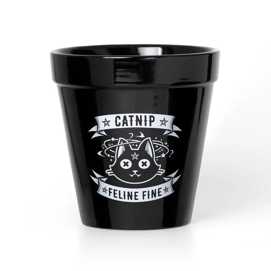 Alchemy - Catnip - Plantenpot