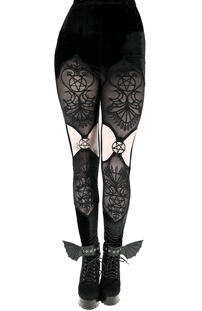 Velvet Vesper Legging
